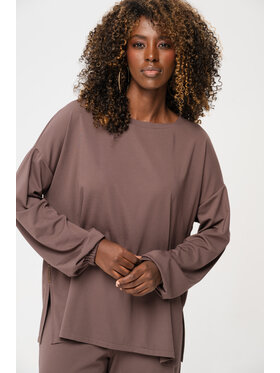 blue shadow blue shadow Bluza Resun Brązowy Regular Fit