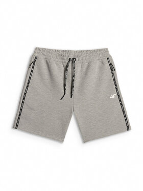 4F 4F Szorty sportowe STREFA KIBICA Szary jasny Regular Fit