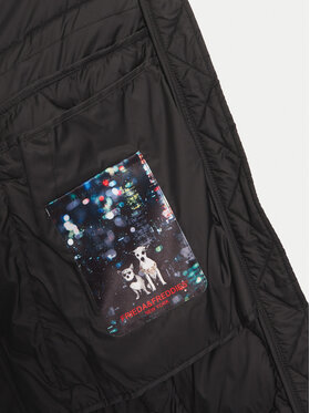 Μπουφάν χειμωνιάτικο Frieda & Freddies φωτογραφία