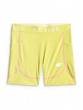 4F 4F Szorty sportowe ACTIVE BY NATURE Zielony Slim Fit