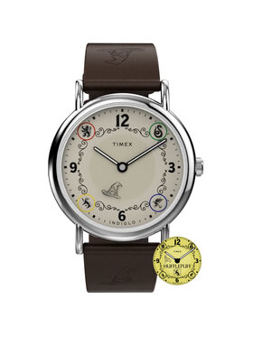 Timex Timex Hodinky TW2Y76600 Hnedá