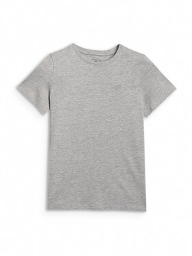 4F 4F T-Shirt NOS Šedá Oversize