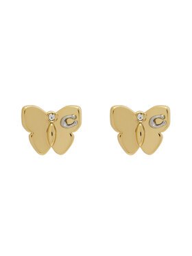 Coach Coach Orecchini 37423839 Oro