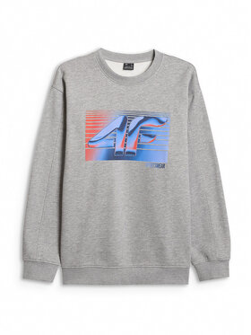 4F 4F Bluza WINTER CODE Szary jasny Regular Fit