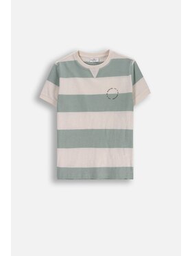 Coccodrillo Coccodrillo T-Shirt WC5143202WBJ-022 Kolorowy Regular Fit