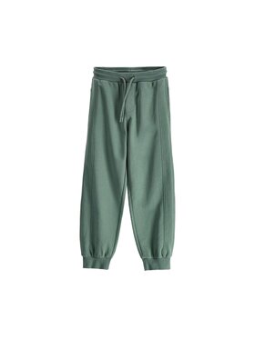 Coccodrillo Coccodrillo Spodnie dresowe ZC6120104VBA-011 Zielony Regular Fit