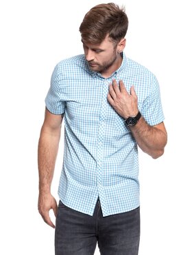 Mustang Mustang Camicia 1/2SLV_1/P_BD Blu Slim Fit