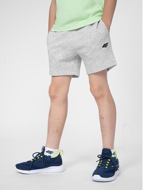 4F 4F Pantaloni scurți sport 4FJSS23TSHOM048 Gri Regular Fit