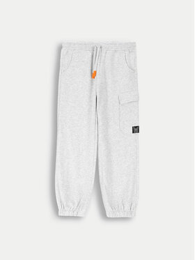 Coccodrillo Coccodrillo Спортивні штани ZC4120201MGJ Сірий Regular Fit