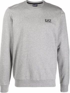 EA7 Emporio Armani EA7 Emporio Armani Mikina 6KPM12 PJ05Z 3905 Šedá Regular Fit