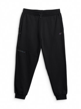 4F 4F Spodnie dresowe IN MOTION Czarny Regular Fit