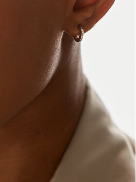 Σκουλαρίκια Daniel Wellington φωτογραφία