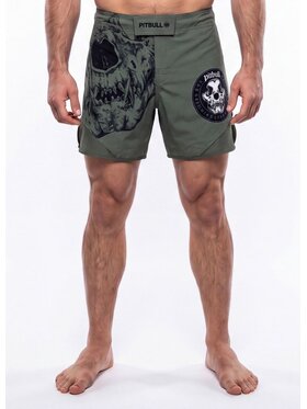 PITBULL PITBULL Szorty sportowe SKULL LOGO Szary Regular Fit