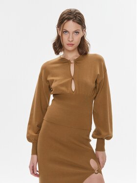 Pinko Pinko Svetr Chioccia 101848 A15S Hnědá Regular Fit