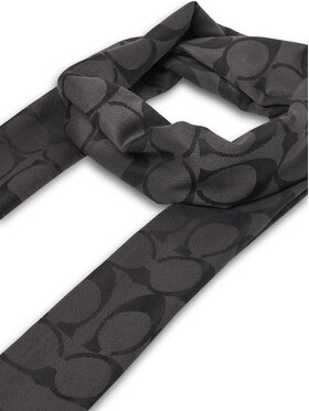 Κασκόλ Coach φωτογραφία