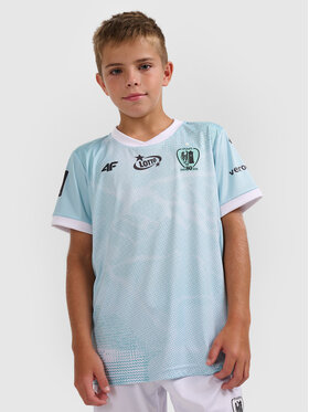 4F 4F Koszulka techniczna TEAMWEAR Kolorowy Regular Fit