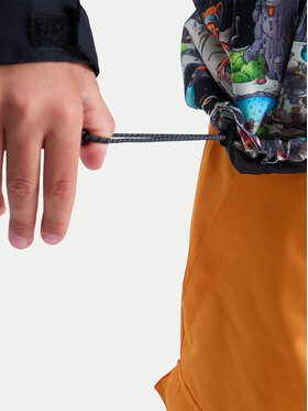 Μπουφάν για σκι DC Shoes φωτογραφία