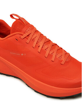 Παπούτσια για Τρέξιμο Arc'teryx φωτογραφία