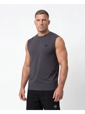 PITBULL PITBULL Koszulka techniczna Casual Sport SMALL LOGO II Szary Regular Fit