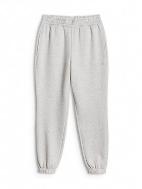 4F 4F Spodnie dresowe BASIC+ Szary jasny Regular Fit