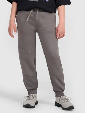 4F 4F Spodnie dresowe 4FJRAW25TTROM1663-24S Szary Loose Fit