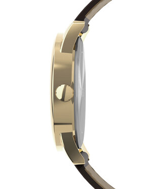 Ρολόι Timex φωτογραφία