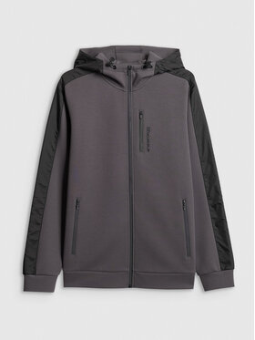 4F 4F Bluza IN MOTION Szary Regular Fit
