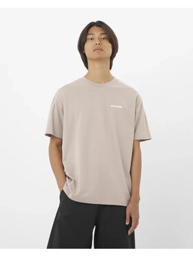 Salomon Salomon T-Shirt CHEST LOGO RELAXED Beżowy Regular Fit