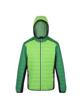 Regatta Regatta Kurtka puchowa Trutton II Zielony Long Fit