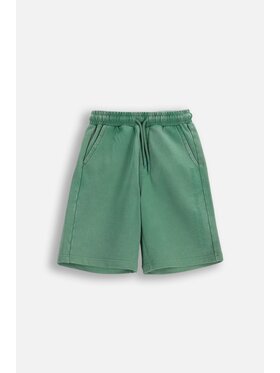 Coccodrillo Coccodrillo Bavlnené šortky WC6120501IBJ-011 Zelená Regular Fit