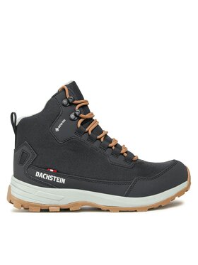 Dachstein Dachstein Matkajalatsid Wildcat GTX WMN GORE-TEX 75613 140 C Sinine