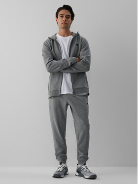 4F 4F Spodnie dresowe BASIC+ Szary Regular Fit
