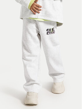 Coccodrillo Coccodrillo Спортивні штани ZC4120201CGK Сірий Regular Fit