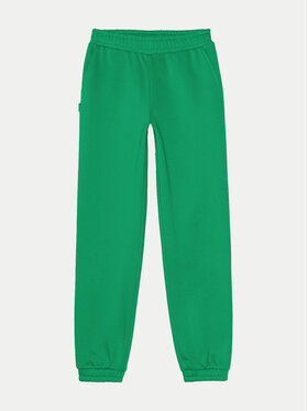4F 4F Pantaloni trening 4FJWAW24TTROF754 Verde Regular Fit