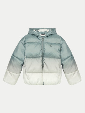 Calvin Klein Jeans Calvin Klein Jeans Žieminė striukė Gradient IG0IG02591 D Žalia Regular Fit