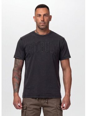 PITBULL PITBULL T-Shirt NORTON APP Szary Regular Fit