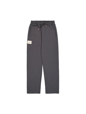 Alpha Industries Alpha Industries Joggery Studio Edition Jogger Szary Loose Fit