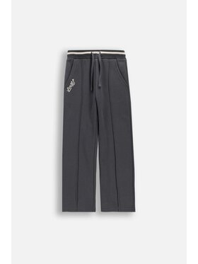 Coccodrillo Coccodrillo Spodnie dresowe WC6120101HGK-020 Szary Regular Fit