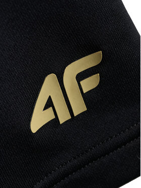 4F 4F Szorty sportowe GOLDEN WARRIOR Czarny Regular Fit