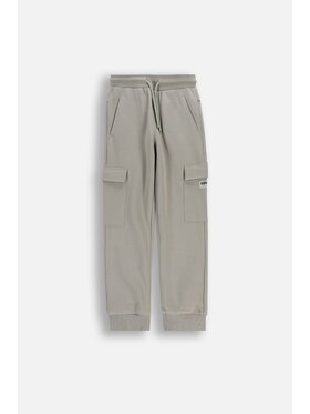 Coccodrillo Coccodrillo Spodnie dresowe WC6120102RBJ-019 Szary Regular Fit