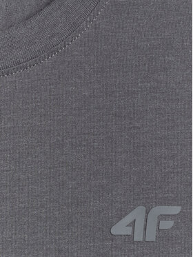 4F 4F T-Shirt ESSENTIAL 2 Kolorowy Regular Fit