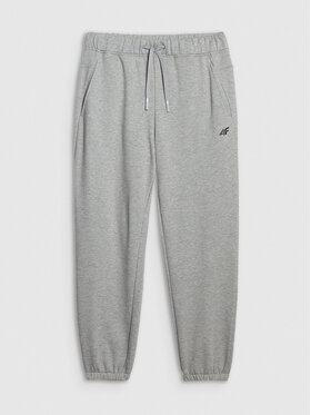 4F 4F Spodnie dresowe NOS Szary jasny Regular Fit