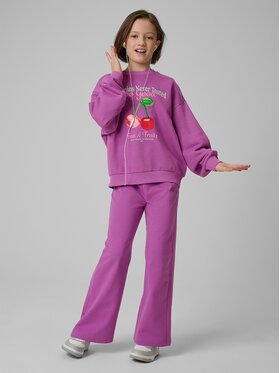 4F 4F Pantaloni da tuta 4FJRSS26TTROF1918-51S Viola Regular Fit