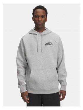 Under Armour Under Armour Bluza UA-6003955-011 Szary Regular Fit