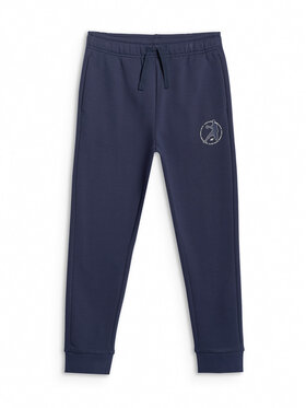 4F 4F Spodnie dresowe URBAN COMMUTER Granatowy Regular Fit