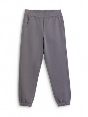 4F 4F Spodnie dresowe BASIC+ Szary Regular Fit