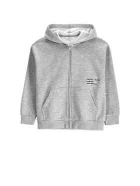 Coccodrillo Coccodrillo Mikina ZC6132601SBJ-019 Sivá Regular Fit