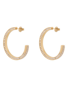 Σκουλαρίκια Guess
