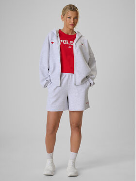 4F 4F Szorty sportowe STREFA KIBICA Szary jasny Regular Fit