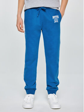 BIG STAR BIG STAR Spodnie dresowe LAMENP Niebieski Basic Fit
